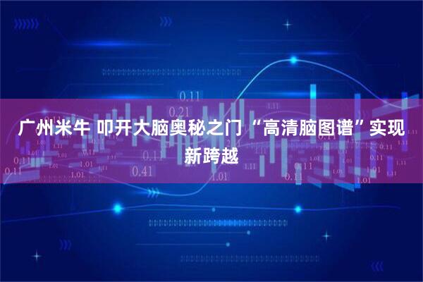 广州米牛 叩开大脑奥秘之门 “高清脑图谱”实现新跨越