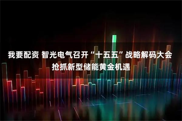 我要配资 智光电气召开“十五五”战略解码大会 抢抓新型储能黄金机遇