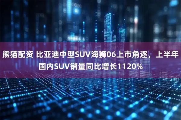 熊猫配资 比亚迪中型SUV海狮06上市角逐，上半年国内SUV销量同比增长1120%